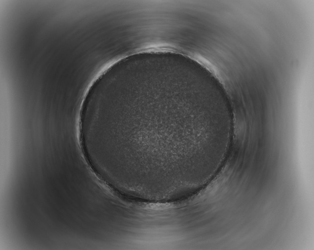 X0000095961277200801251143