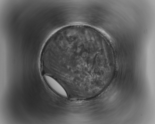 X0000095961279200801251143