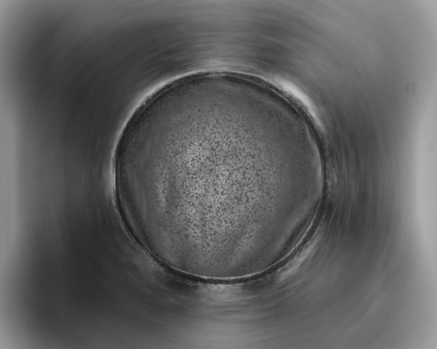 X0000095961280200801251143