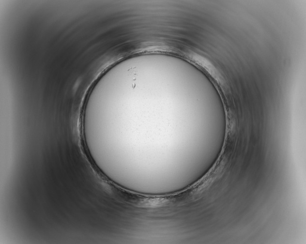 X0000095961282200801251143