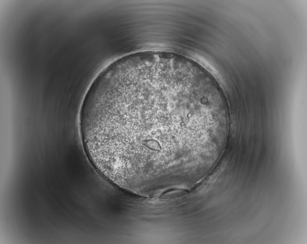 X0000095961283200801251143