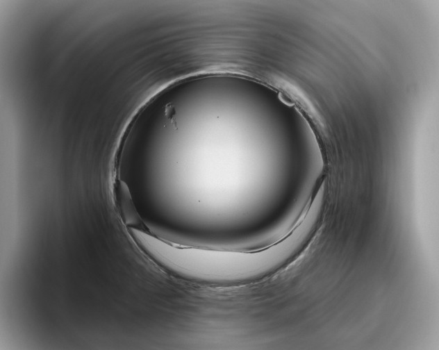 X0000095961284200801251143