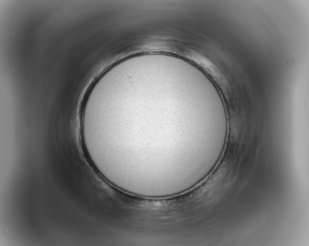 X0000095961286200801251143