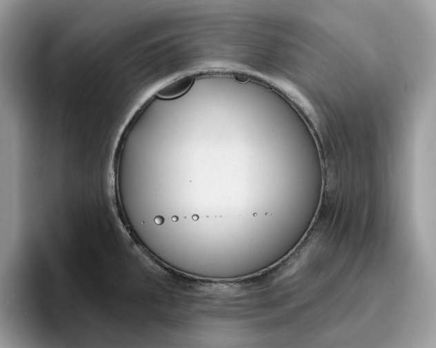 X0000095961287200801251142