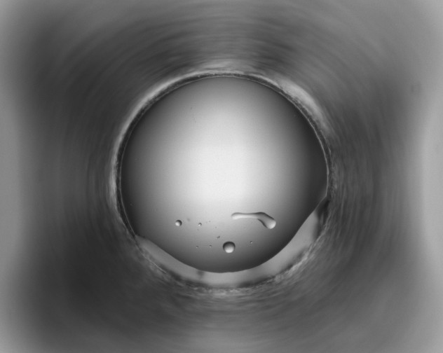 X0000095961288200801251142