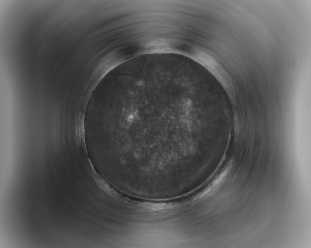 X0000095961289200801251142