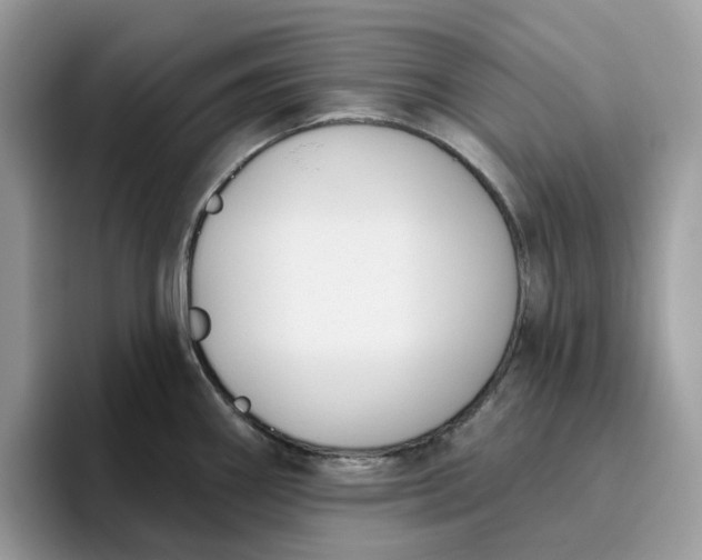 X0000095961290200801251142