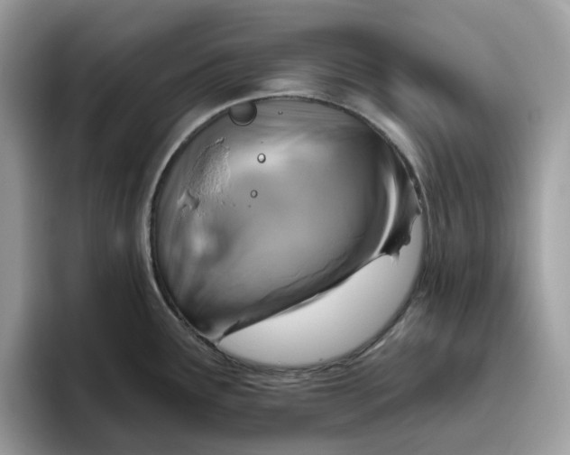 X0000095961291200801251142