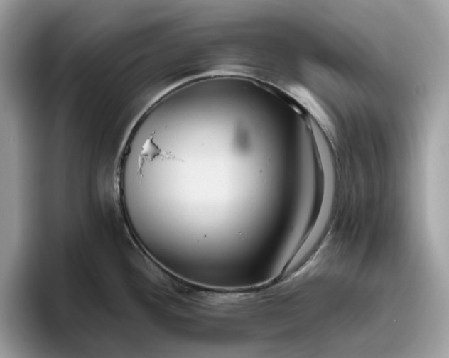 X0000095961292200801251142