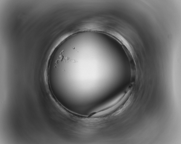 X0000095961293200801251142