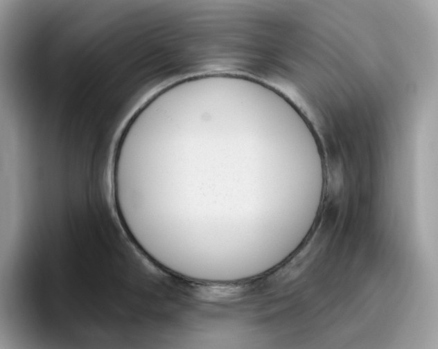 X0000095961294200801251142