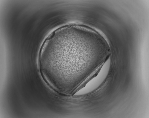 X0000095961295200801251142