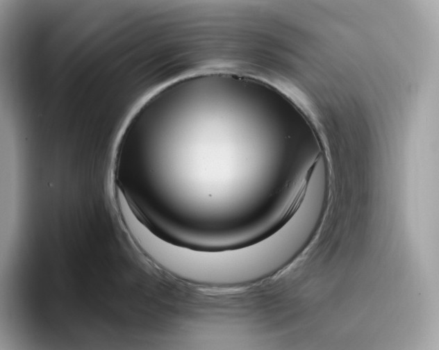 X0000095961296200801251142