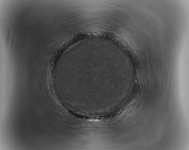 X0000095961297200801251142