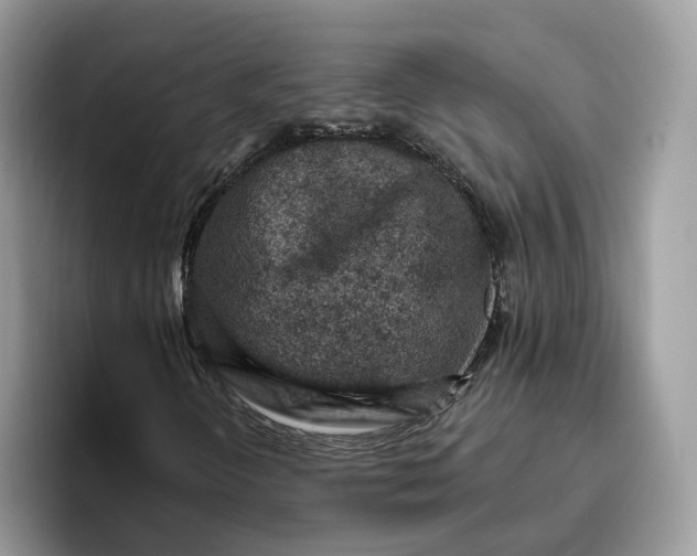 X0000095961298200801251142