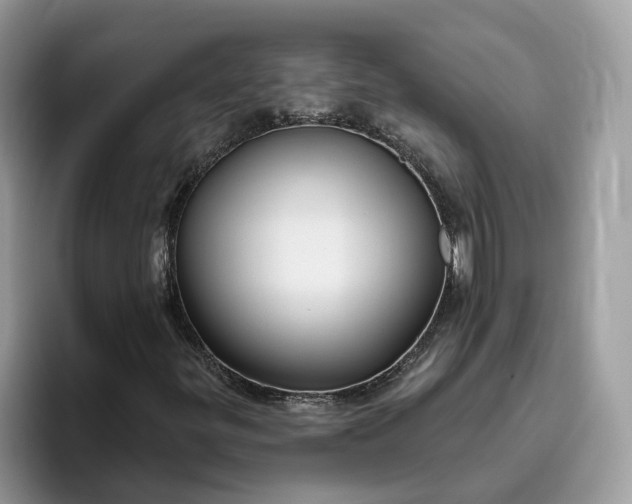 X0000095961299200801251142