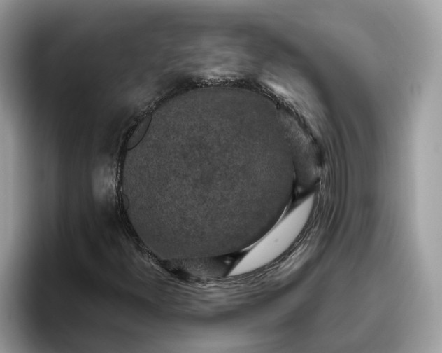 X0000095961300200801251142