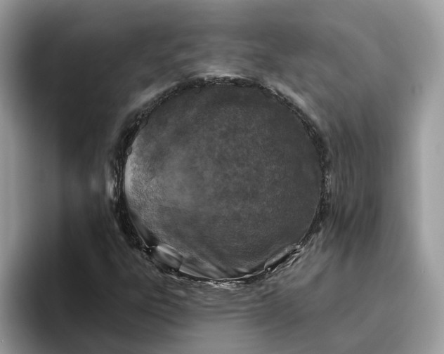 X0000095961303200801251142