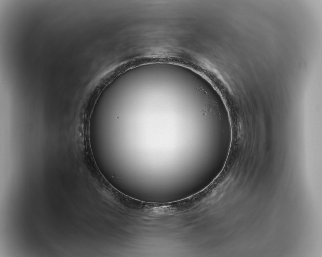 X0000095961304200801251142