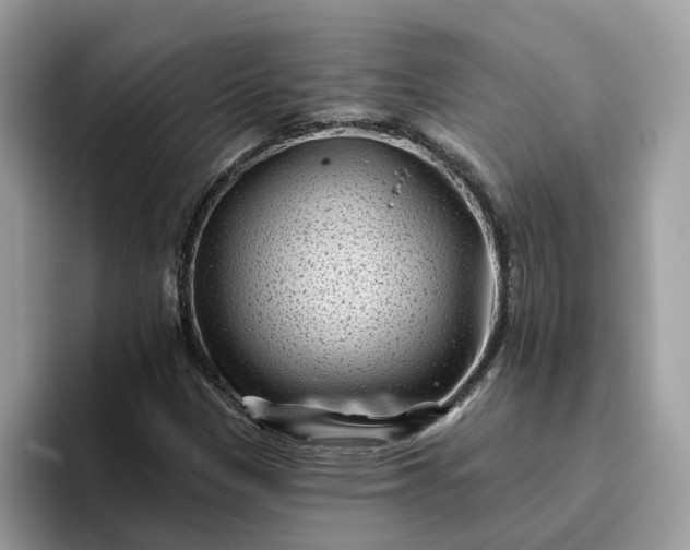 X0000095961305200801251142