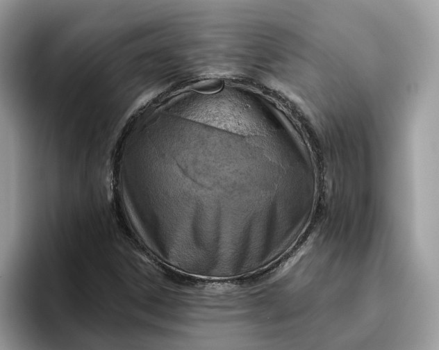 X0000095961306200801251142