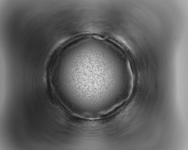 X0000095961307200801251142