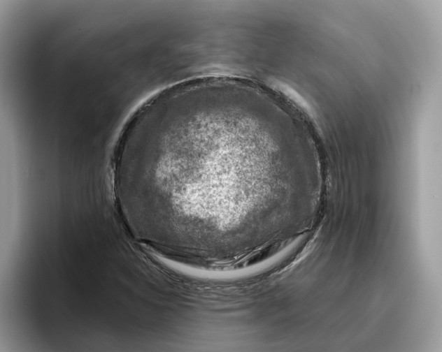 X0000095961310200801251142