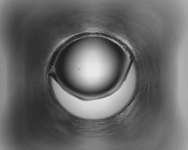 X0000095961311200801251142