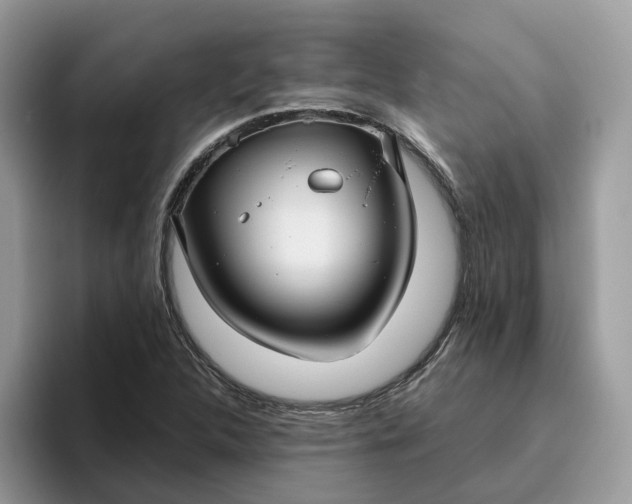 X0000095961312200801251142