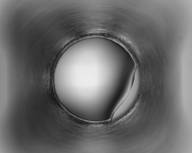 X0000095961313200801251142