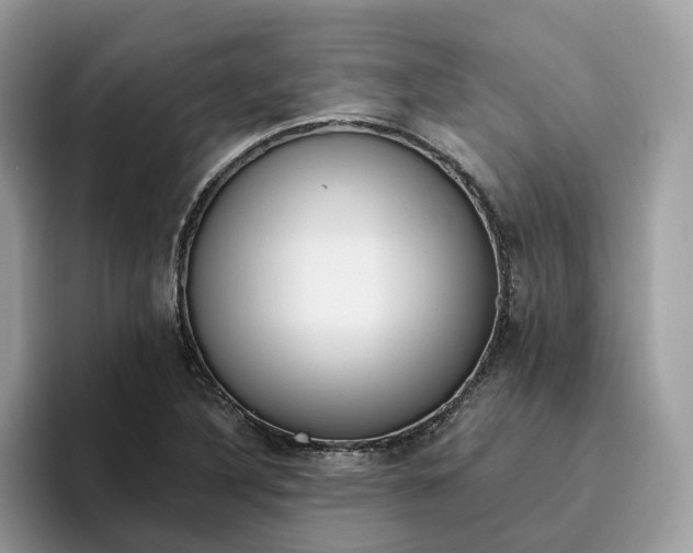 X0000095961316200801251142