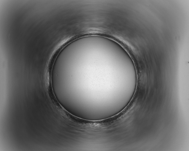 X0000095961317200801251142