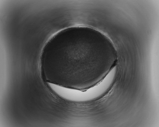 X0000095961319200801251142