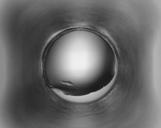 X0000095961320200801251142