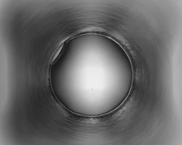 X0000095961321200801251142