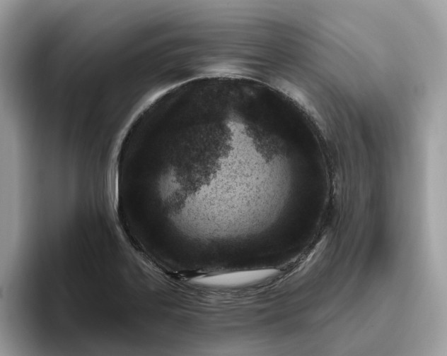 X0000095961323200801251142