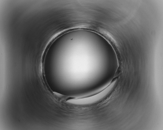 X0000095961324200801251142