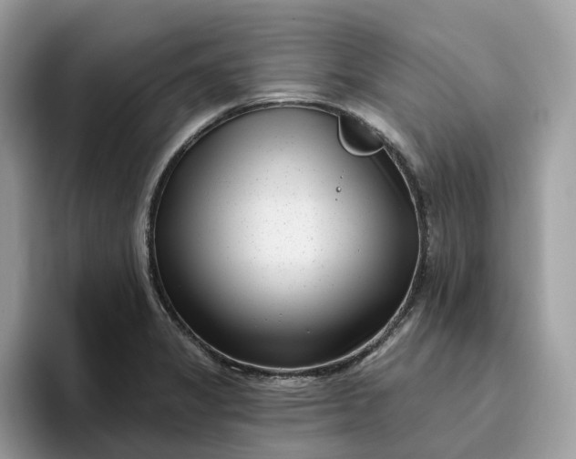 X0000095961325200801251142