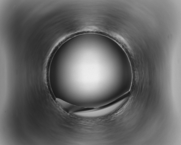 X0000095961326200801251142