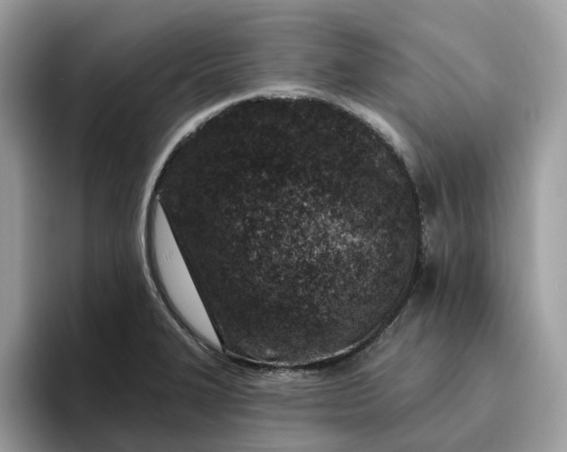 X0000095961327200801251142