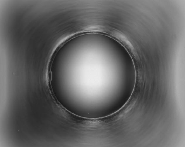 X0000095961328200801251142