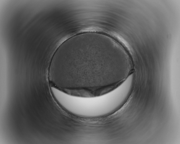 X0000095961329200801251142