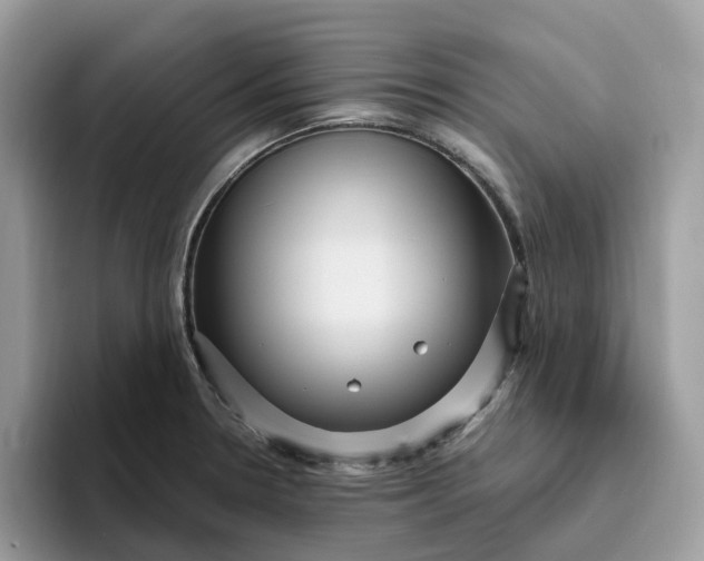 X0000095961330200801251142