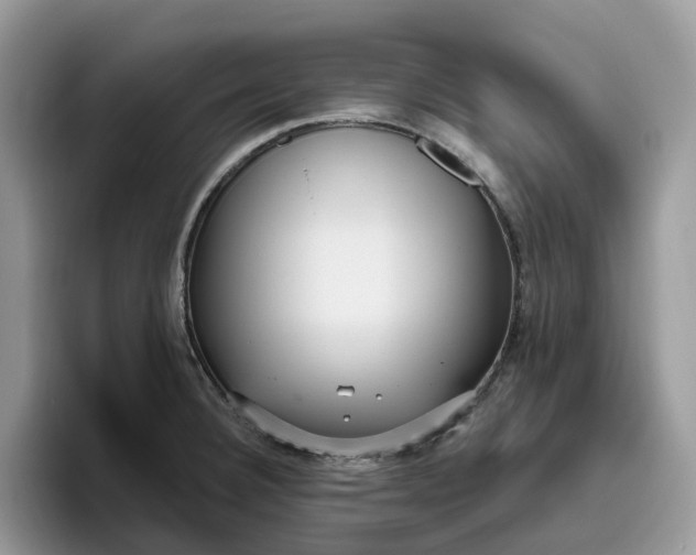 X0000095961332200801251142