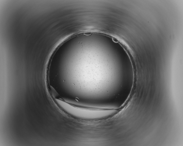 X0000095961333200801251142