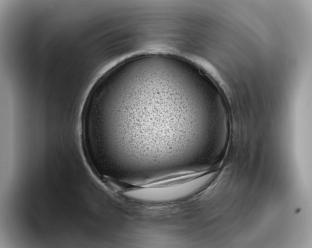 X0000095961335200801251142