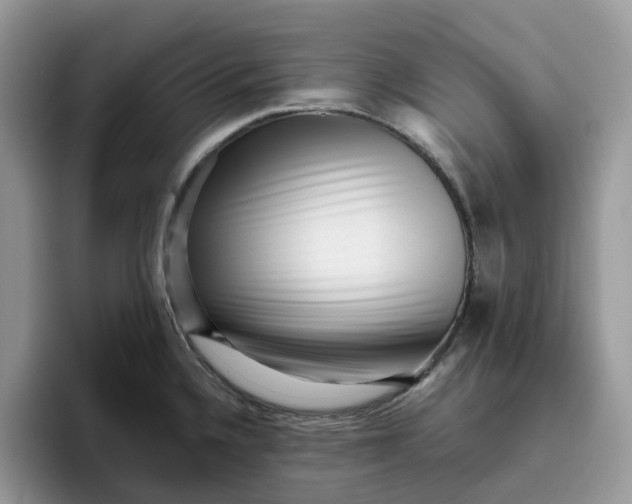 X0000095961336200801251142