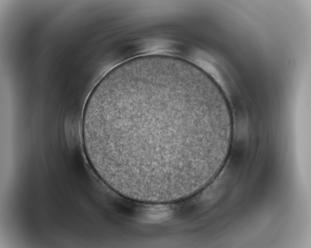 X0000095961338200801251142