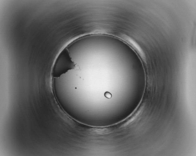 X0000095961340200801251142