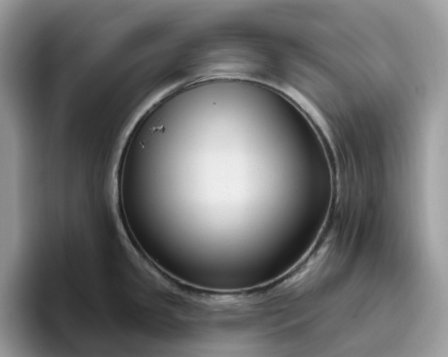 X0000095961341200801251142